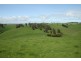 0 Kuhnes Road, Mardan VIC 3953