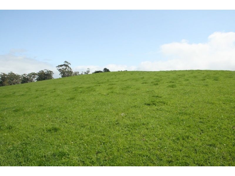 0 Kuhnes Road, Mardan VIC 3953