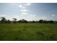 295 Racecourse Road, Leongatha VIC 3953