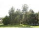 295 Racecourse Road, Leongatha VIC 3953