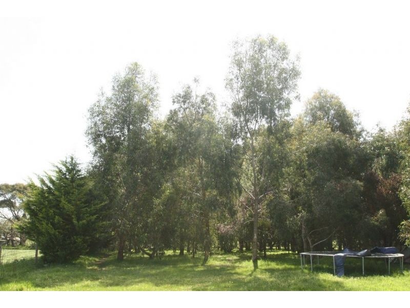 295 Racecourse Road, Leongatha VIC 3953