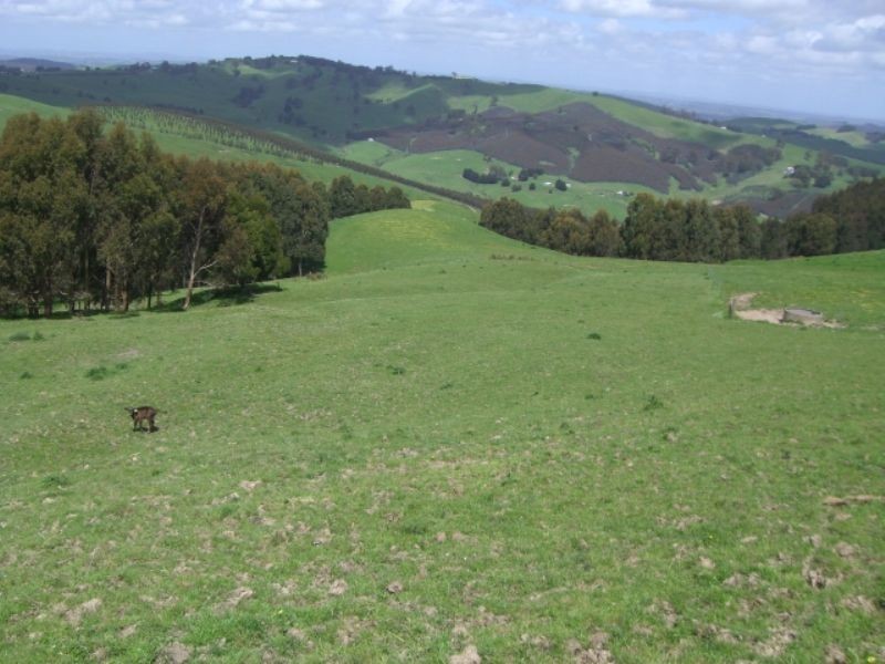 220 Hollins Road, Leongatha VIC 3953