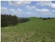 220 Hollins Road, Leongatha VIC 3953