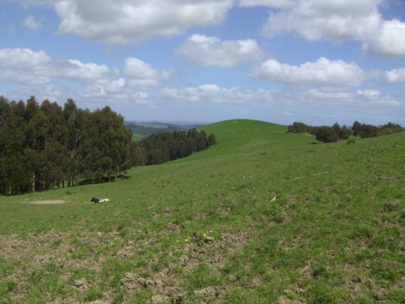 220 Hollins Road, Leongatha VIC 3953