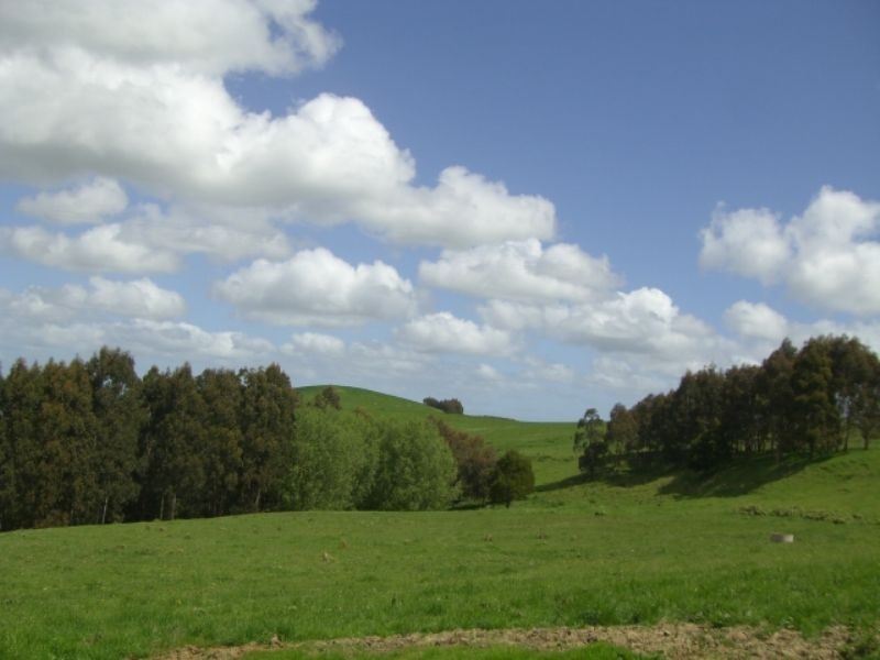 220 Hollins Road, Leongatha VIC 3953