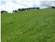 220 Hollins Road, Leongatha VIC 3953