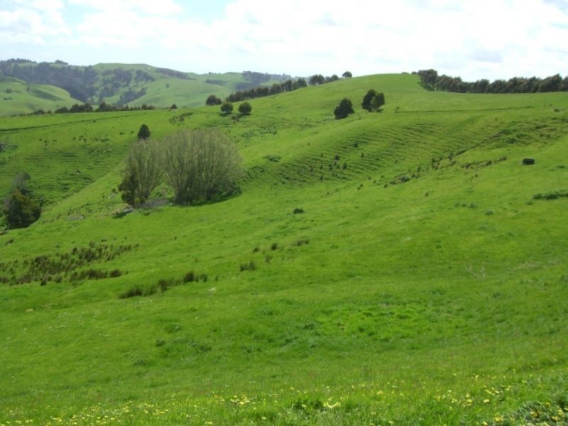 220 Hollins Road, Leongatha VIC 3953