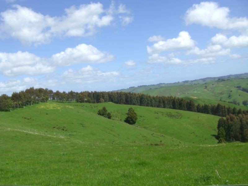 220 Hollins Road, Leongatha VIC 3953