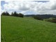 220 Hollins Road, Leongatha VIC 3953