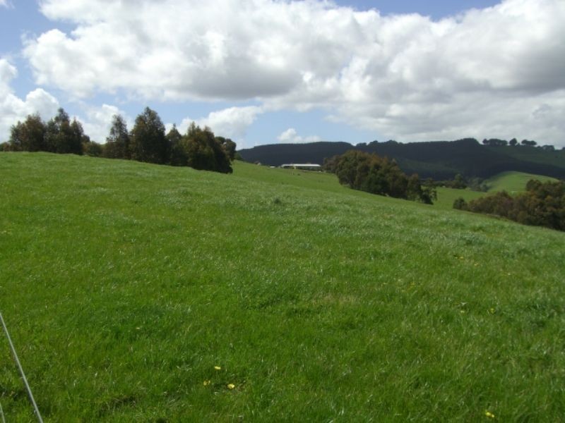 220 Hollins Road, Leongatha VIC 3953
