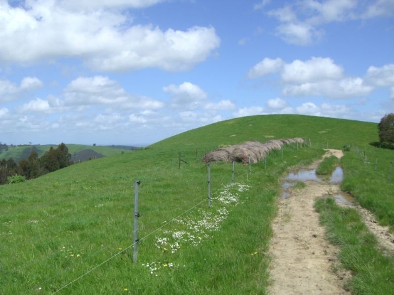 220 Hollins Road, Leongatha VIC 3953