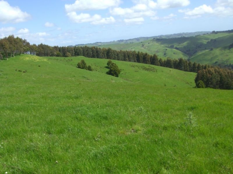 220 Hollins Road, Leongatha VIC 3953