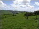 220 Hollins Road, Leongatha VIC 3953