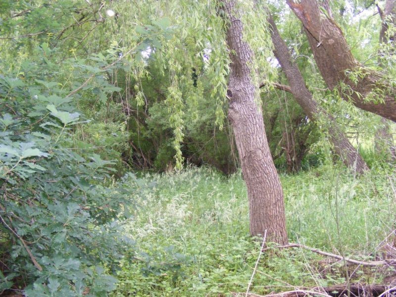 2 ROSS STREET, Meeniyan VIC 3956