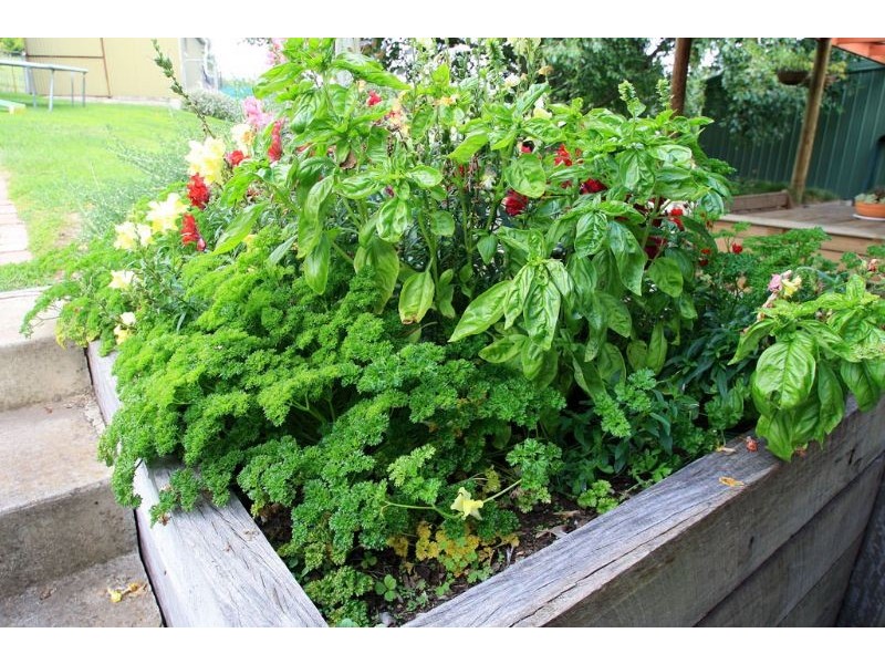 61 McKitterick Street, Meeniyan VIC 3956