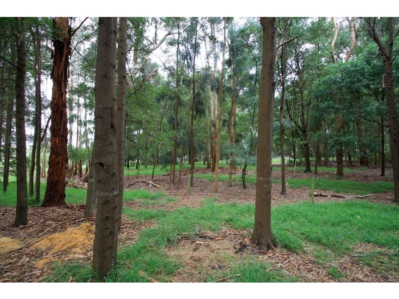 525 Meeniyan-Mirboo North Road, Meeniyan VIC 3956