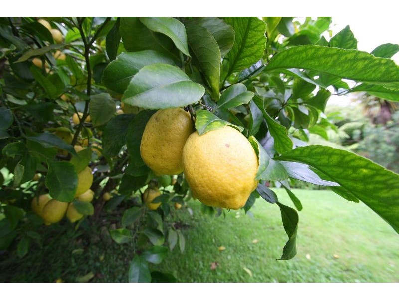 25 Middletons Road, Foster North VIC 3960