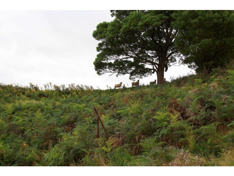 25 Middletons Road, Foster North VIC 3960