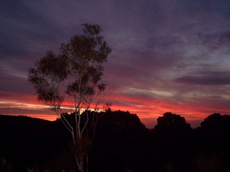 25 Middletons Road, Foster North VIC 3960