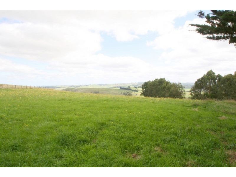 65 Brown Hills Road, Mount Eccles VIC 3953