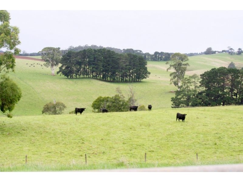 2390 Meeniyan-Mirboo Nth Rd, Mardan VIC 3953