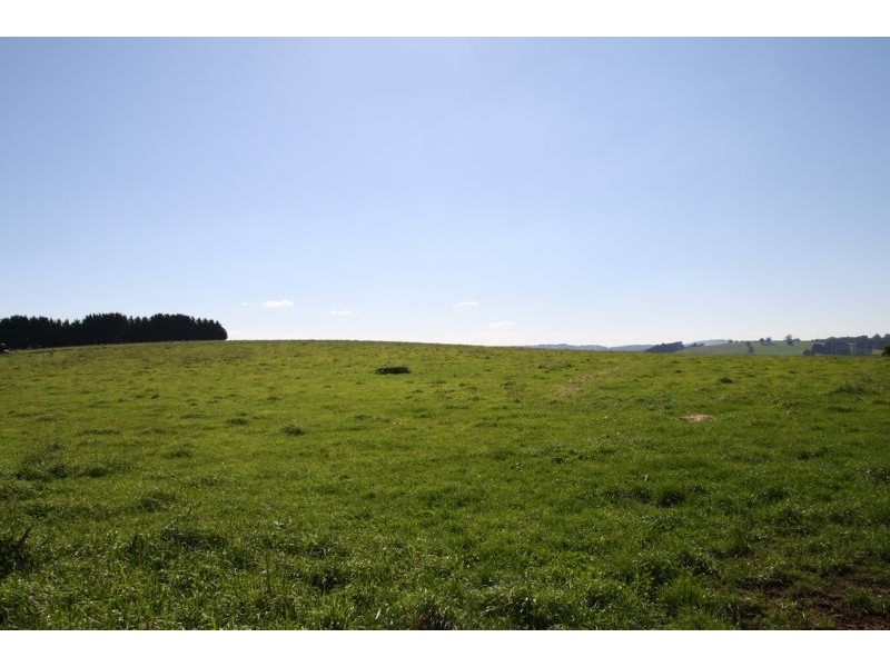 175 Old Nicholls Road, Mirboo North VIC 3871