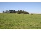 175 Old Nicholls Road, Mirboo North VIC 3871