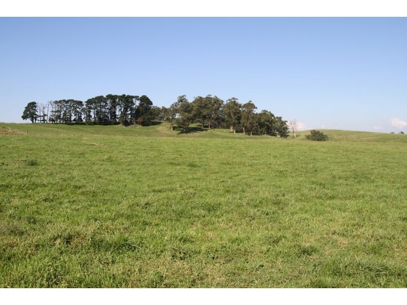175 Old Nicholls Road, Mirboo North VIC 3871