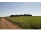 175 Old Nicholls Road, Mirboo North VIC 3871