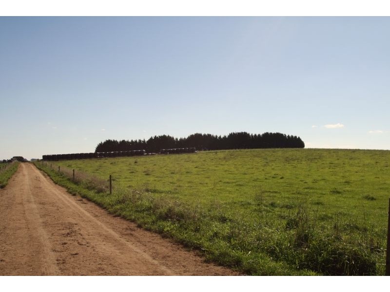 175 Old Nicholls Road, Mirboo North VIC 3871