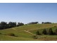 175 Old Nicholls Road, Mirboo North VIC 3871