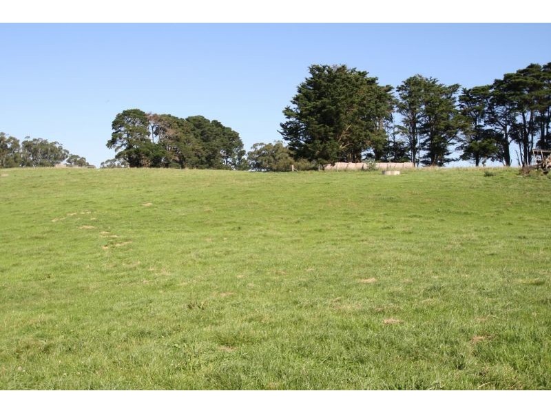 175 Old Nicholls Road, Mirboo North VIC 3871