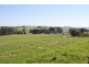 175 Old Nicholls Road, Mirboo North VIC 3871