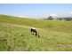175 Old Nicholls Road, Mirboo North VIC 3871