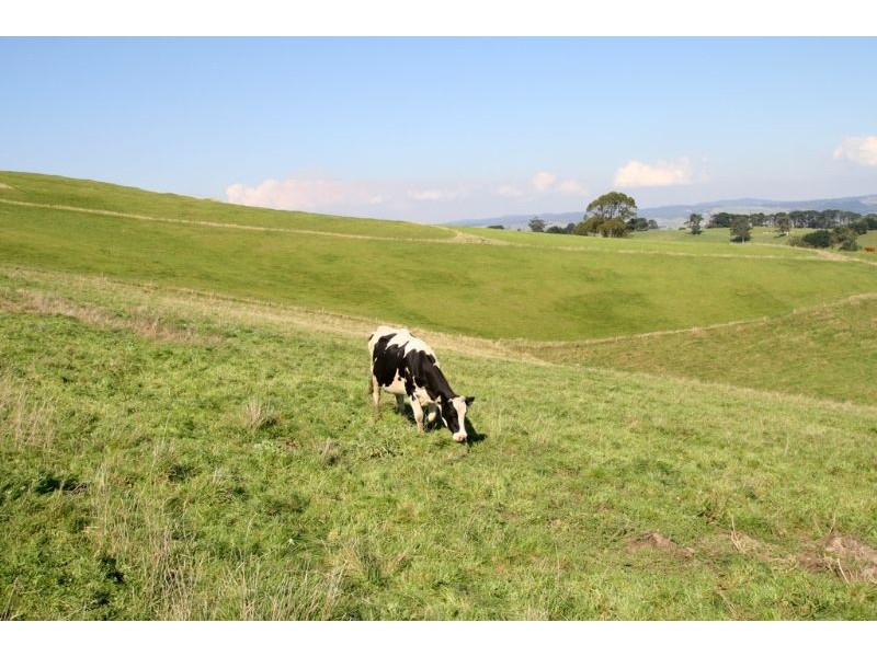 175 Old Nicholls Road, Mirboo North VIC 3871