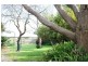 38 Hassett Street, Leongatha VIC 3953