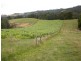 1030 Foster-Mirboo Road, Foster North VIC 3960