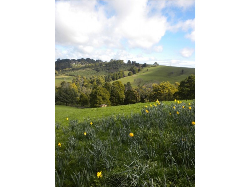 1030 Foster-Mirboo Road, Foster North VIC 3960