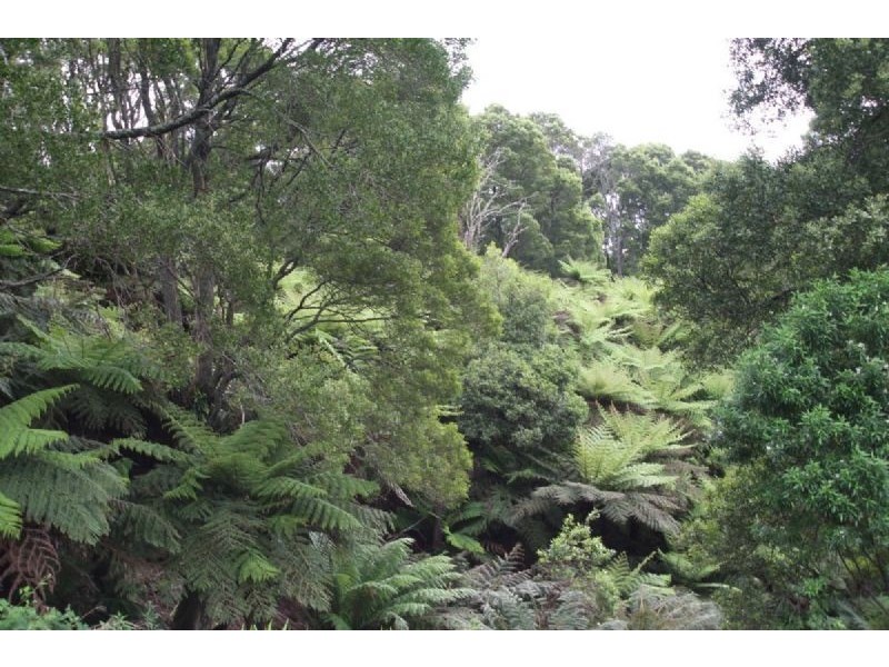 976 Foster- Mirboo Road, Dollar, Foster North VIC 3960