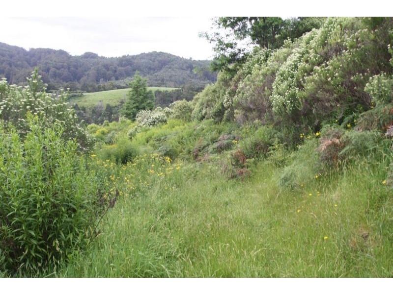 976 Foster- Mirboo Road, Dollar, Foster North VIC 3960