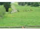 8955 South Gippsland Highway,Kardella South, Leongatha VIC 3953