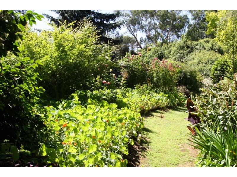 45-53 Young Street, Leongatha VIC 3953