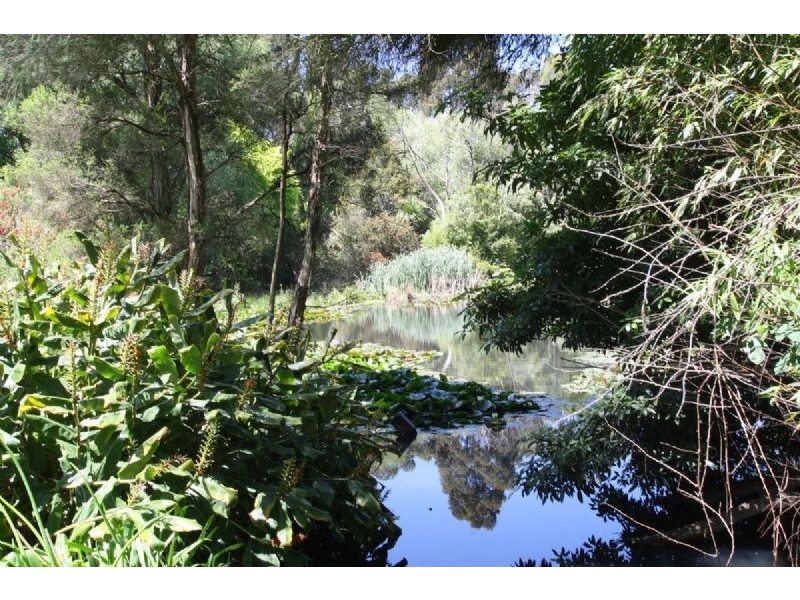 45-53 Young Street, Leongatha VIC 3953