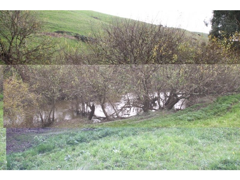 125 Farmers Road, Dumbalk VIC 3956