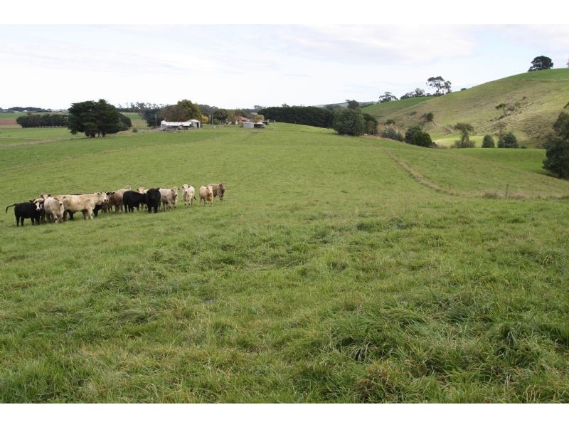 125 Farmers Road, Dumbalk VIC 3956