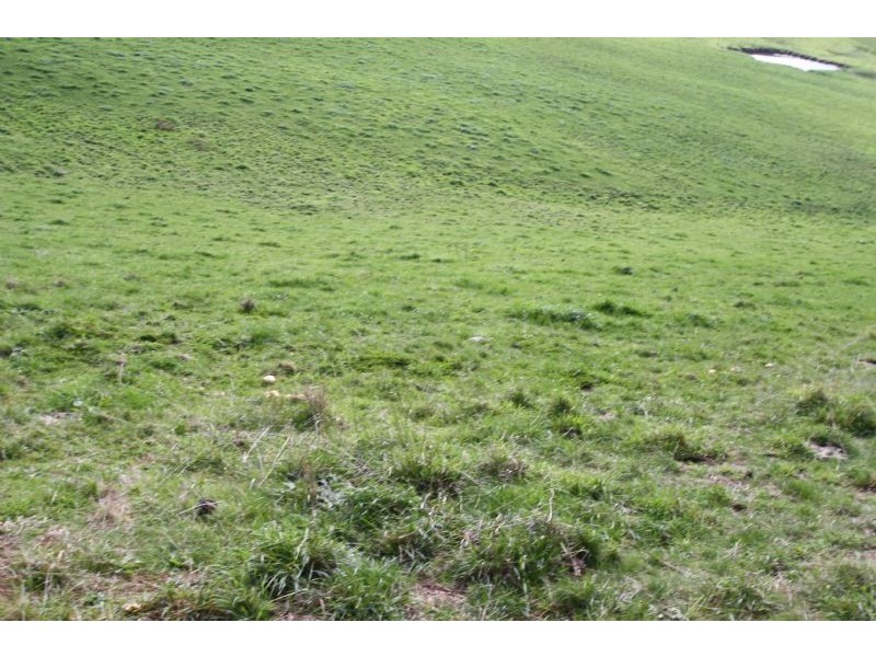 685 Fairbank Road ARAWATA, Leongatha VIC 3953