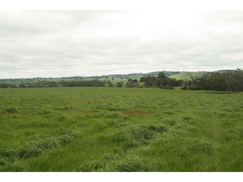 365 Dollar Road, Dumbalk VIC 3956