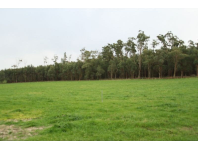 365 Dollar Road, Dumbalk VIC 3956