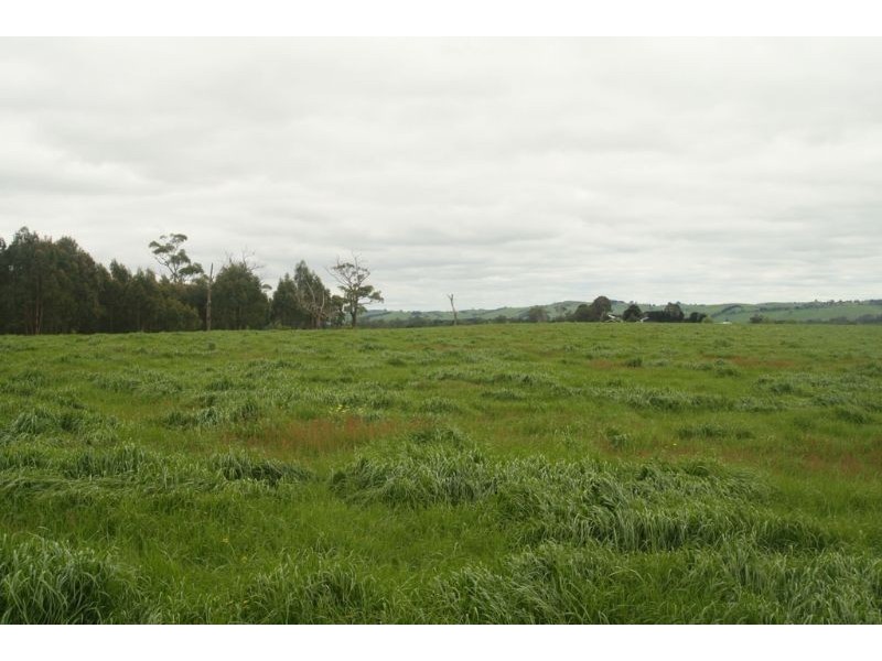 365 Dollar Road, Dumbalk VIC 3956