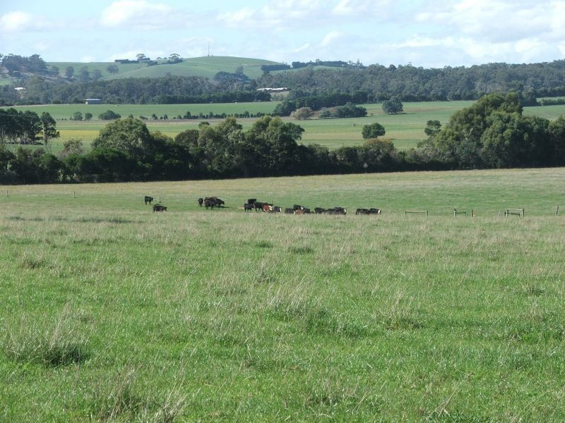 290 Soldiers Road, Leongatha VIC 3953